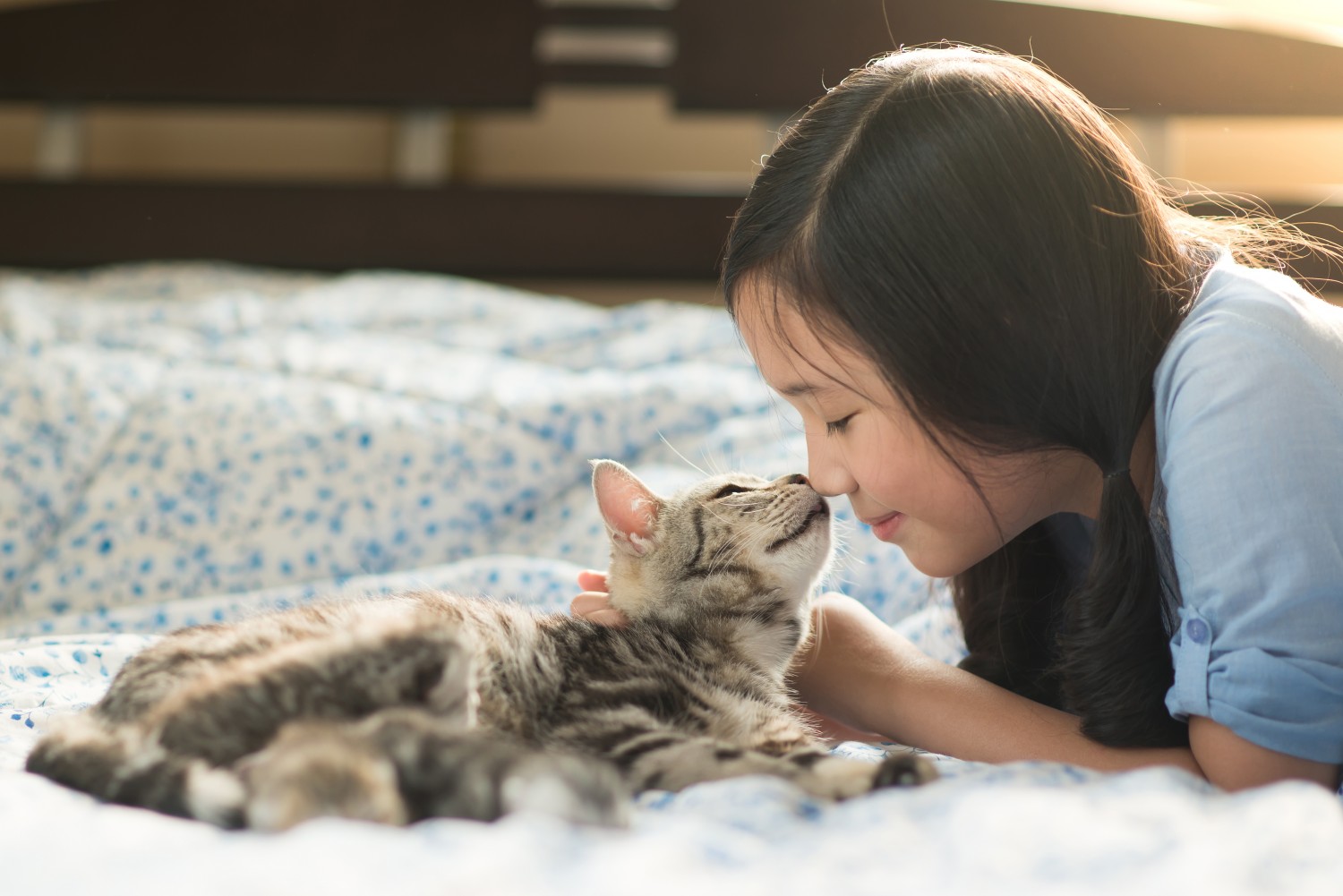 Girl With Cat